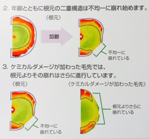 エクイアル８